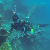 Abdullah Al-Musstafa