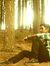 Rohit R...