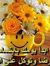د.إيمان...