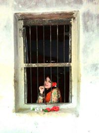 শর্মিলা জিসা