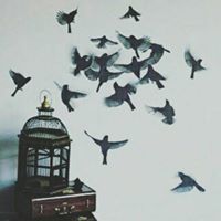 وردة أبو عساف