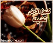 عبدالله العبدالله