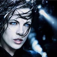 Selene E. Faravardeh