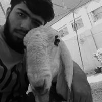 Mohammad Kothari