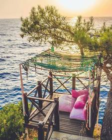 زهرة الفردوس