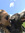 Lily | 8 comments