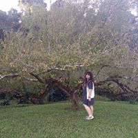 เดอะโชดี้ ตังเม