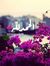 Amal Al...