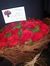 Dalia S...