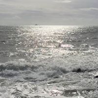 Gary Baxter and Ines Seco