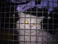 متنفسة الأمل