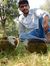 Yagnik ...