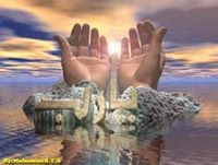 Samy Sayed