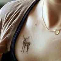 عازر اندراوس