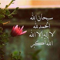Mohamed Ghareeb