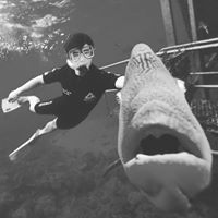 Andrew Ho