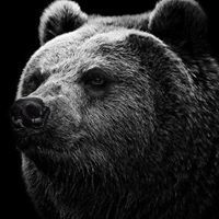 ศุภเศรษฐ์ พัตราภรณ์