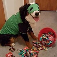 Terry Connery Conroy