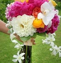 ناصرالدين عبدالناصر