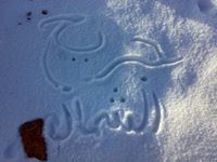 جريح الشمال