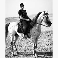 Ahmed El Khouly