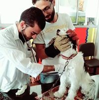 Hussam Saloum