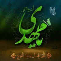 فدا شگری