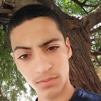 Bashar Raed