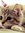 Nicole (GoldDragon) | 64 comments