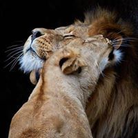 سہنہہیہہور عہہلہہوش