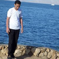 Elsayed Abou El Magd