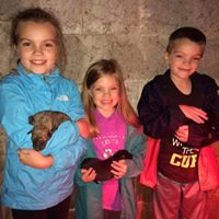 Breeda O'Connor Cosgrove