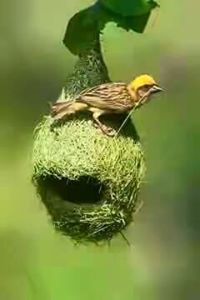 এটাই আমার