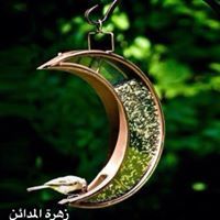 زهرة المدائن