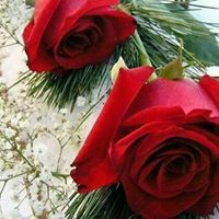 بسمة عبدالرزاق