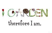 Светлана Асенова