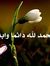 Wafaa S...