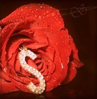 باحثه حائره