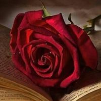 عيوش العنزي