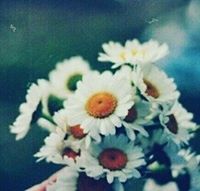 فردوسٓ 'ۦ 'ۦ