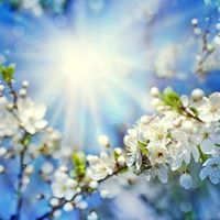 ذكرى بإحسان