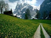 حيدر الساعدي