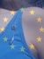 Daisy B...