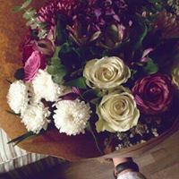 أميرة بدنيتي