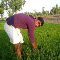 விக்கி ராகவ்