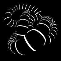 Alessandro Tomarchio