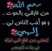 محمودحسين الواعى