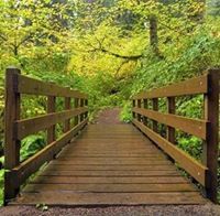 مريم البتول