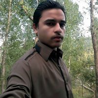 Waleed Ahmed