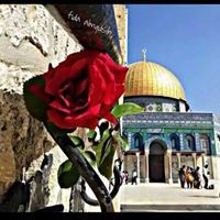 هدى عبد اللطيف